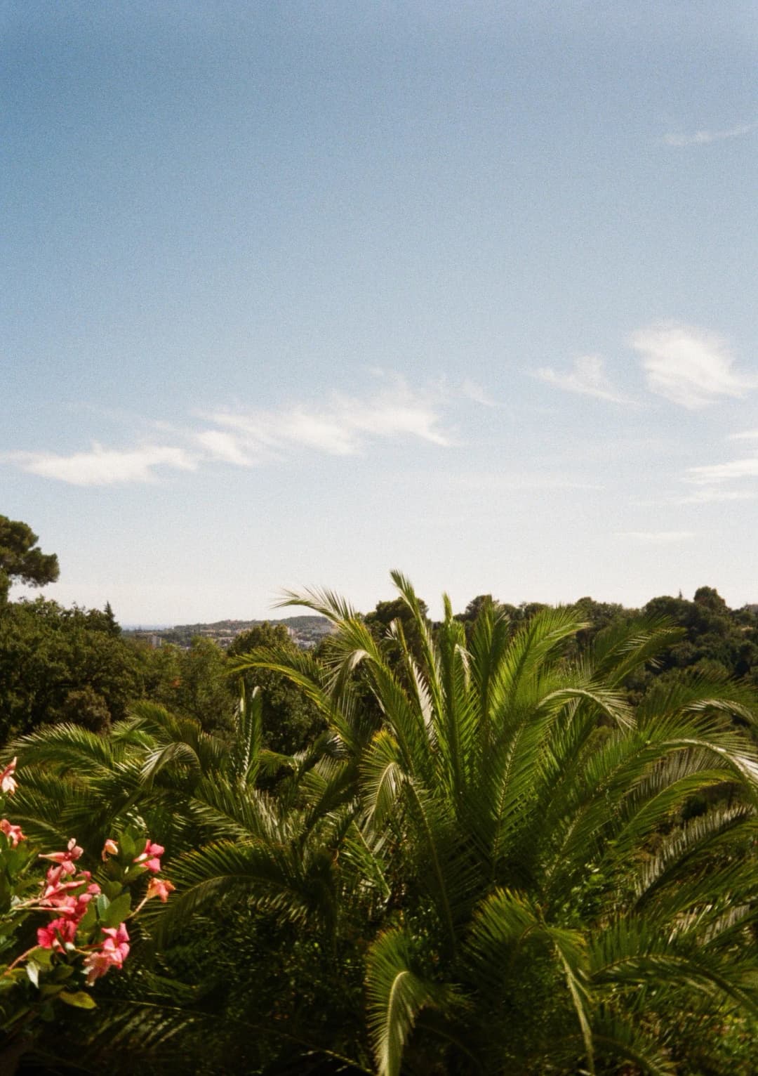 Film photograph from the 2025-08-cannes gallery by Maxime Bodin