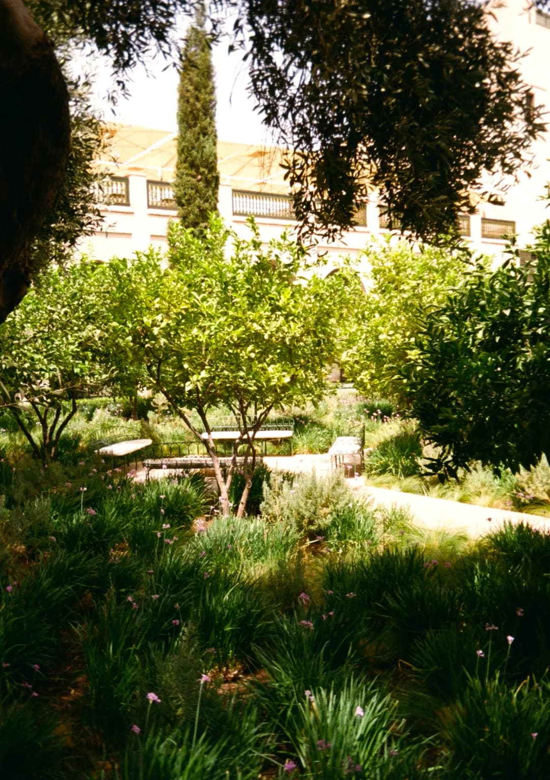 Film photograph from the 2025-08-marrakech gallery by Maxime Bodin