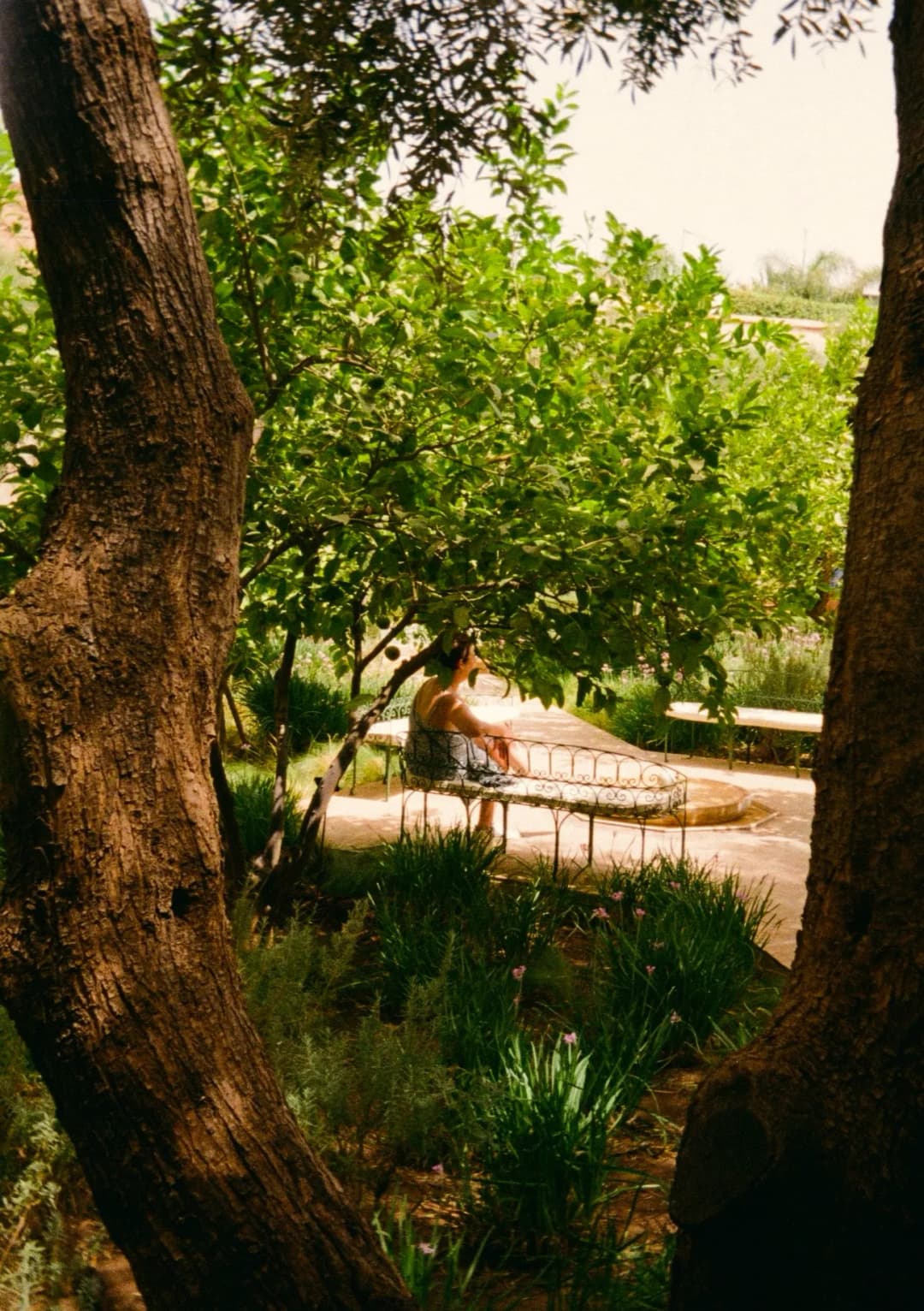 Film photograph from the 2025-08-marrakech gallery by Maxime Bodin