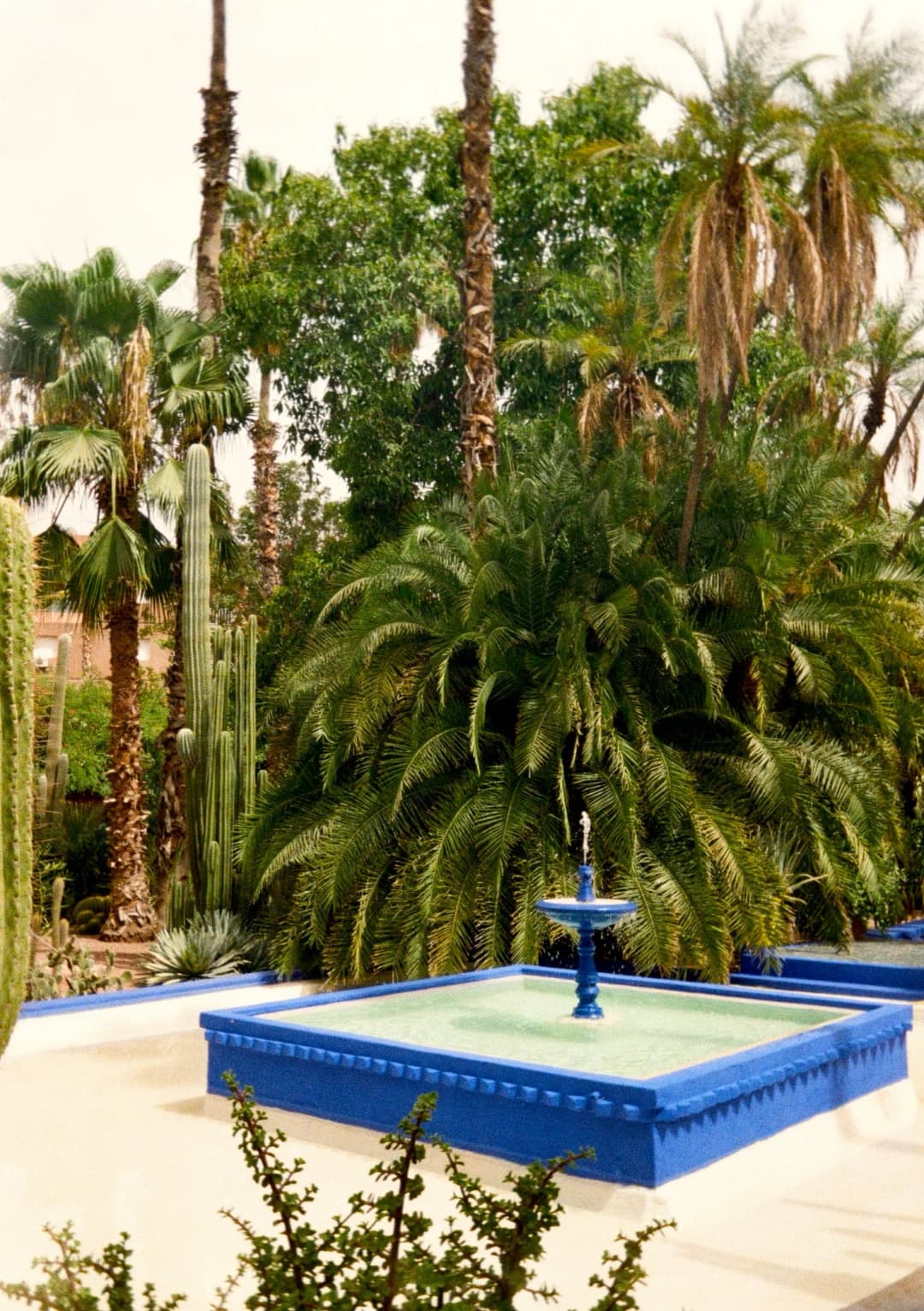 Film photograph from the 2025-08-marrakech gallery by Maxime Bodin