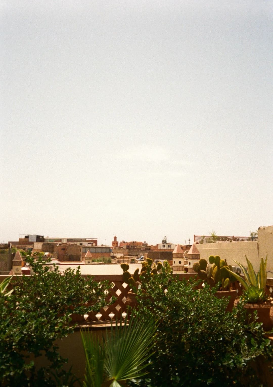 Film photograph from the 2025-08-marrakech gallery by Maxime Bodin