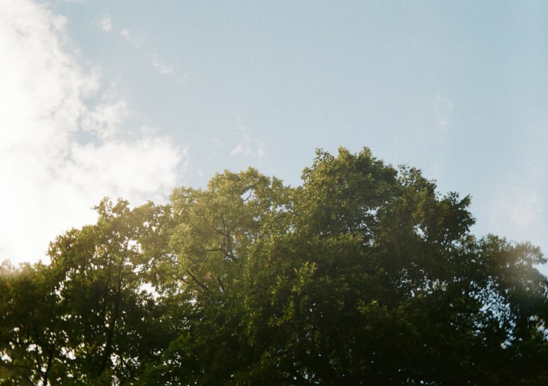 Film photograph from the 2025-08-paris gallery by Maxime Bodin