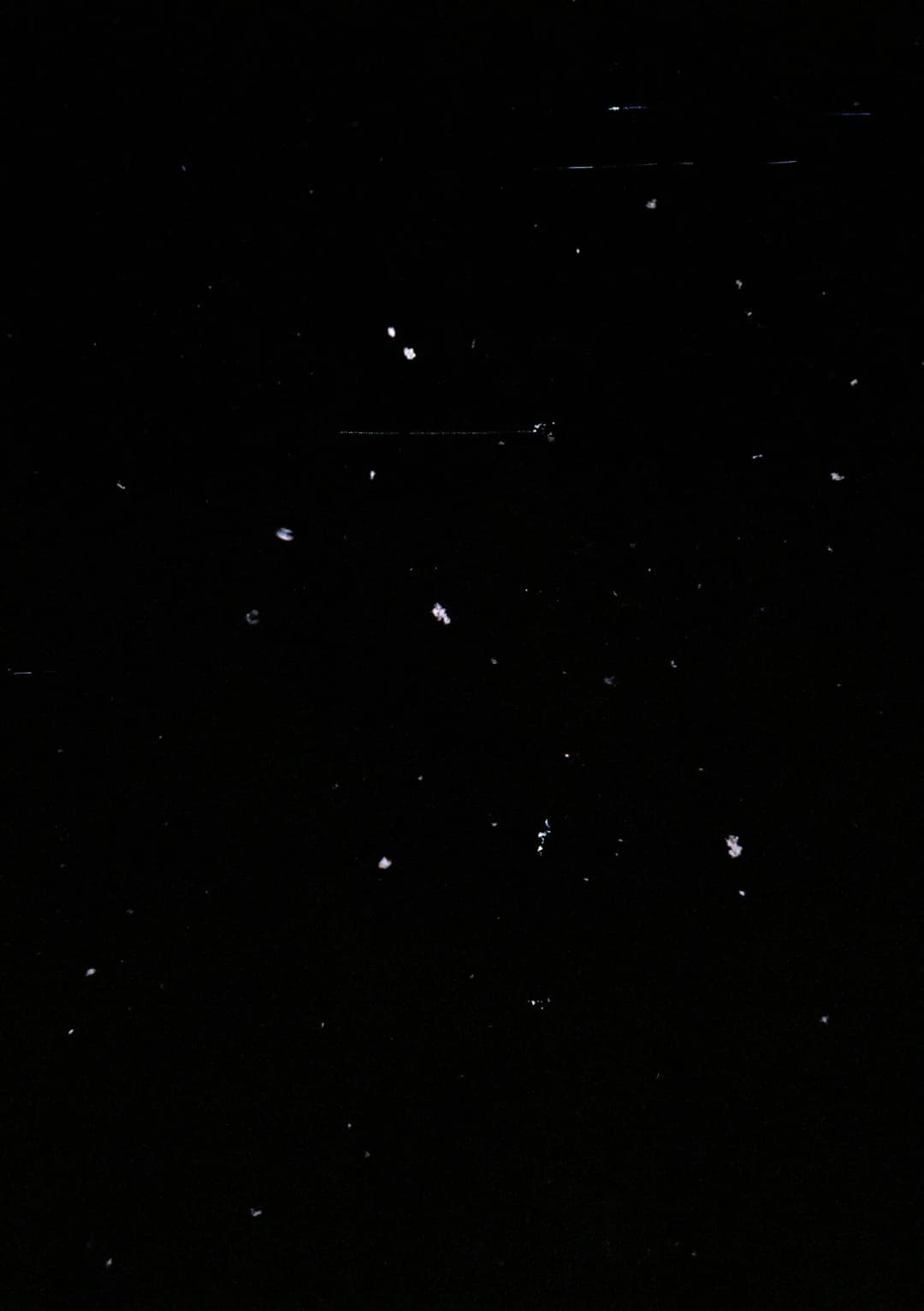 Film photograph from the 2026-01-piss-in-the-snow gallery by Maxime Bodin