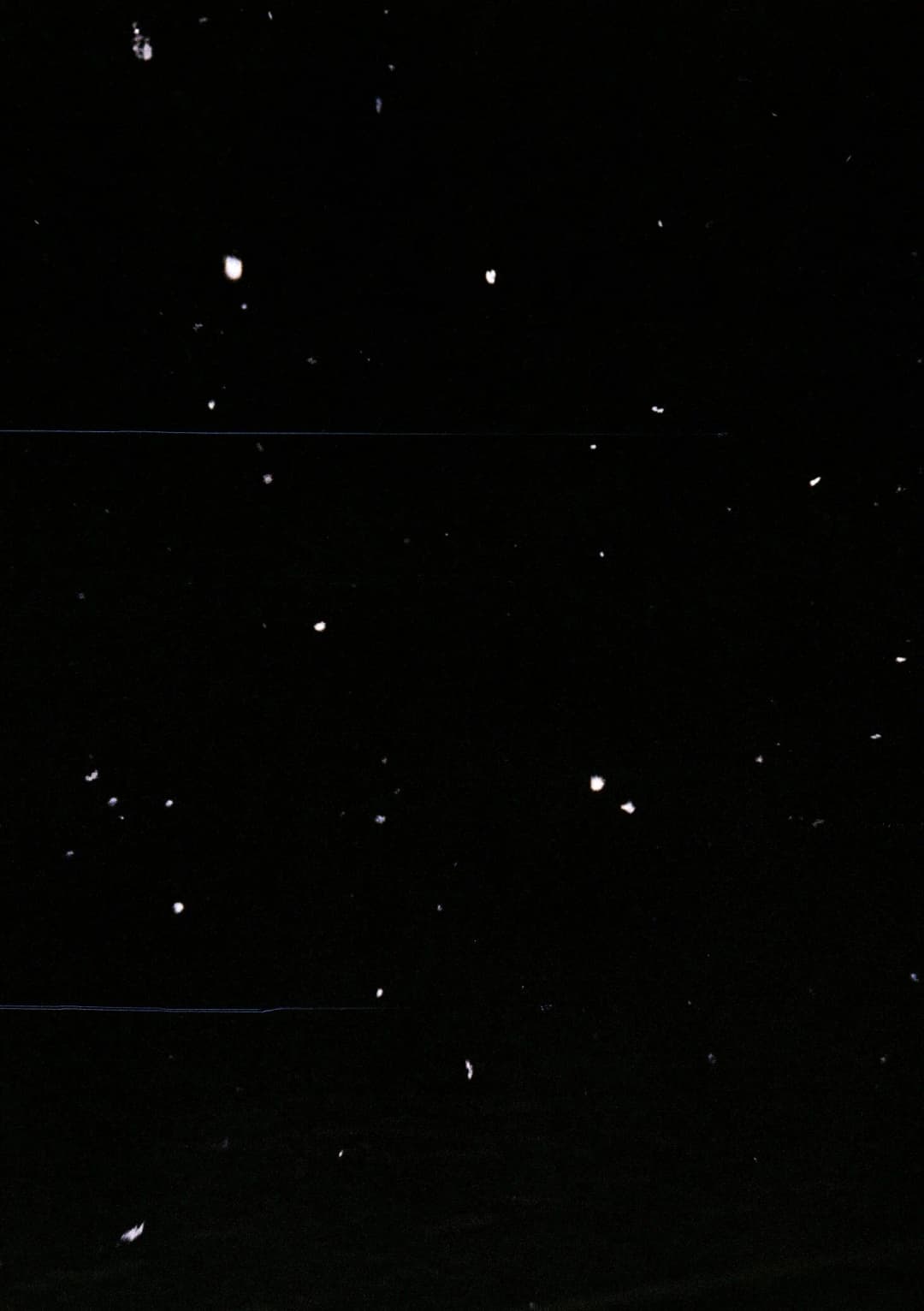 Film photograph from the 2026-01-piss-in-the-snow gallery by Maxime Bodin