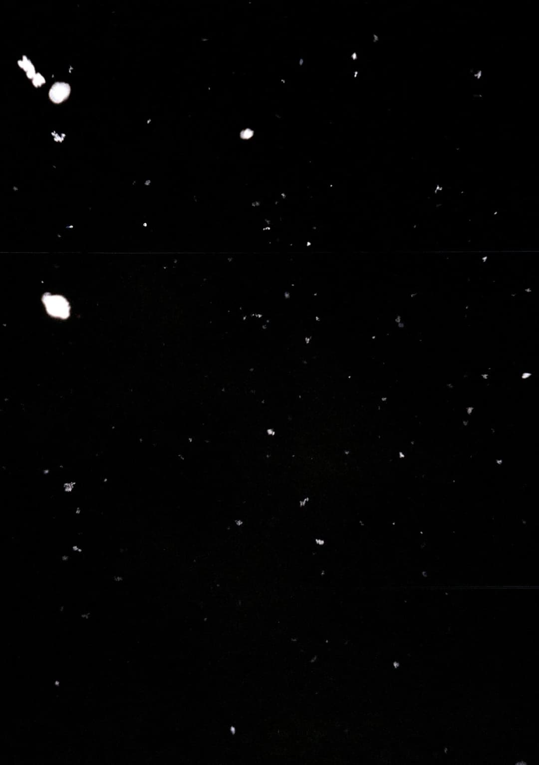 Film photograph from the 2026-01-piss-in-the-snow gallery by Maxime Bodin