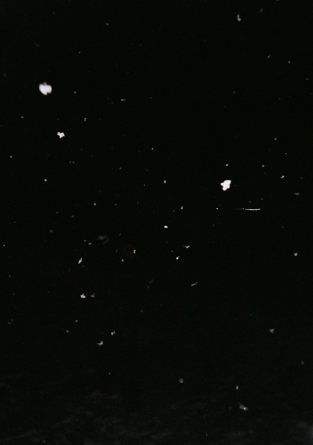 Film photograph from the 2026-01-piss-in-the-snow gallery by Maxime Bodin