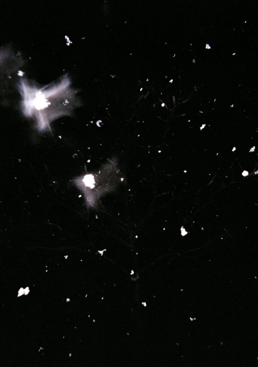 Film photograph from the 2026-01-piss-in-the-snow gallery by Maxime Bodin