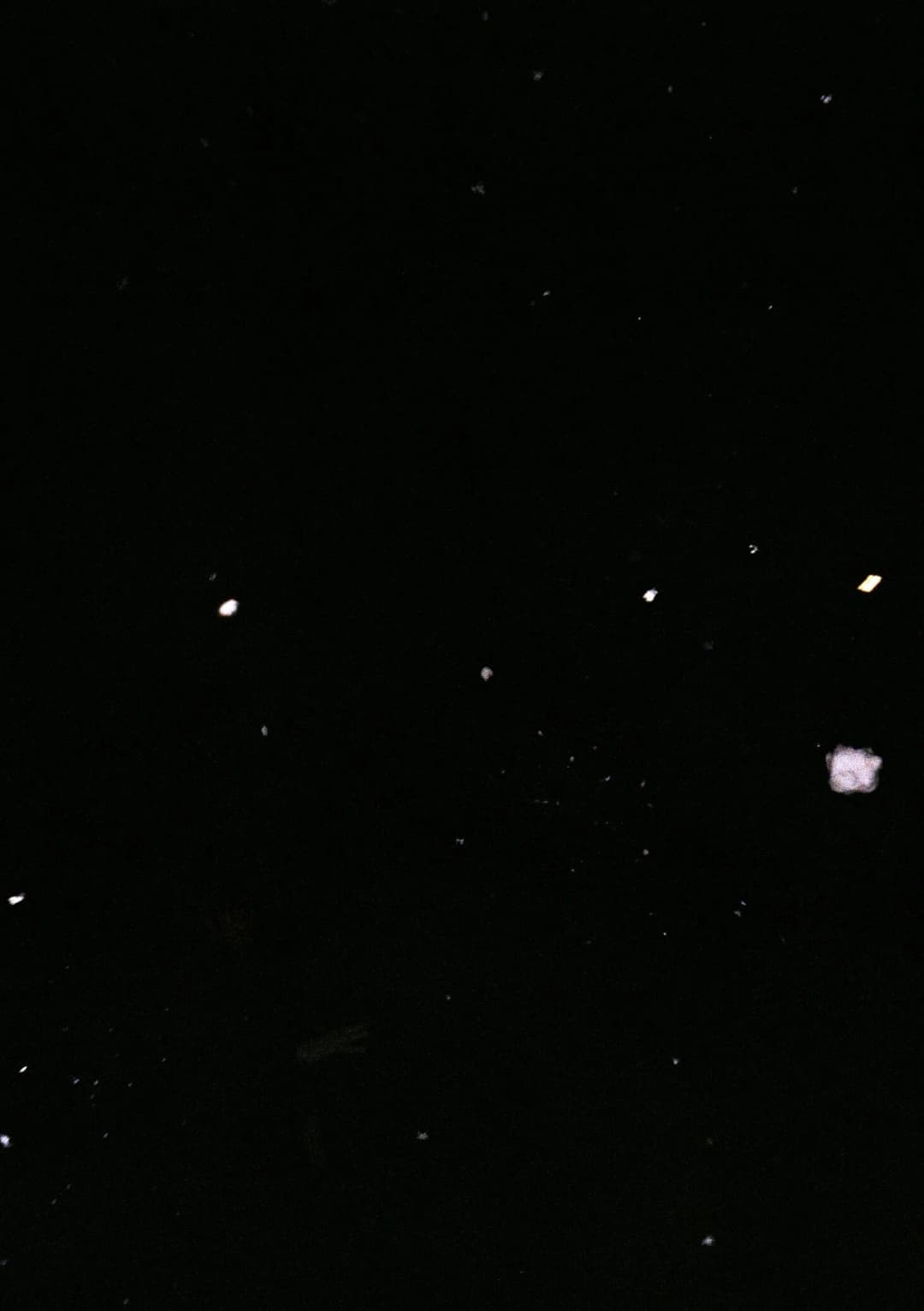 Film photograph from the 2026-01-piss-in-the-snow gallery by Maxime Bodin