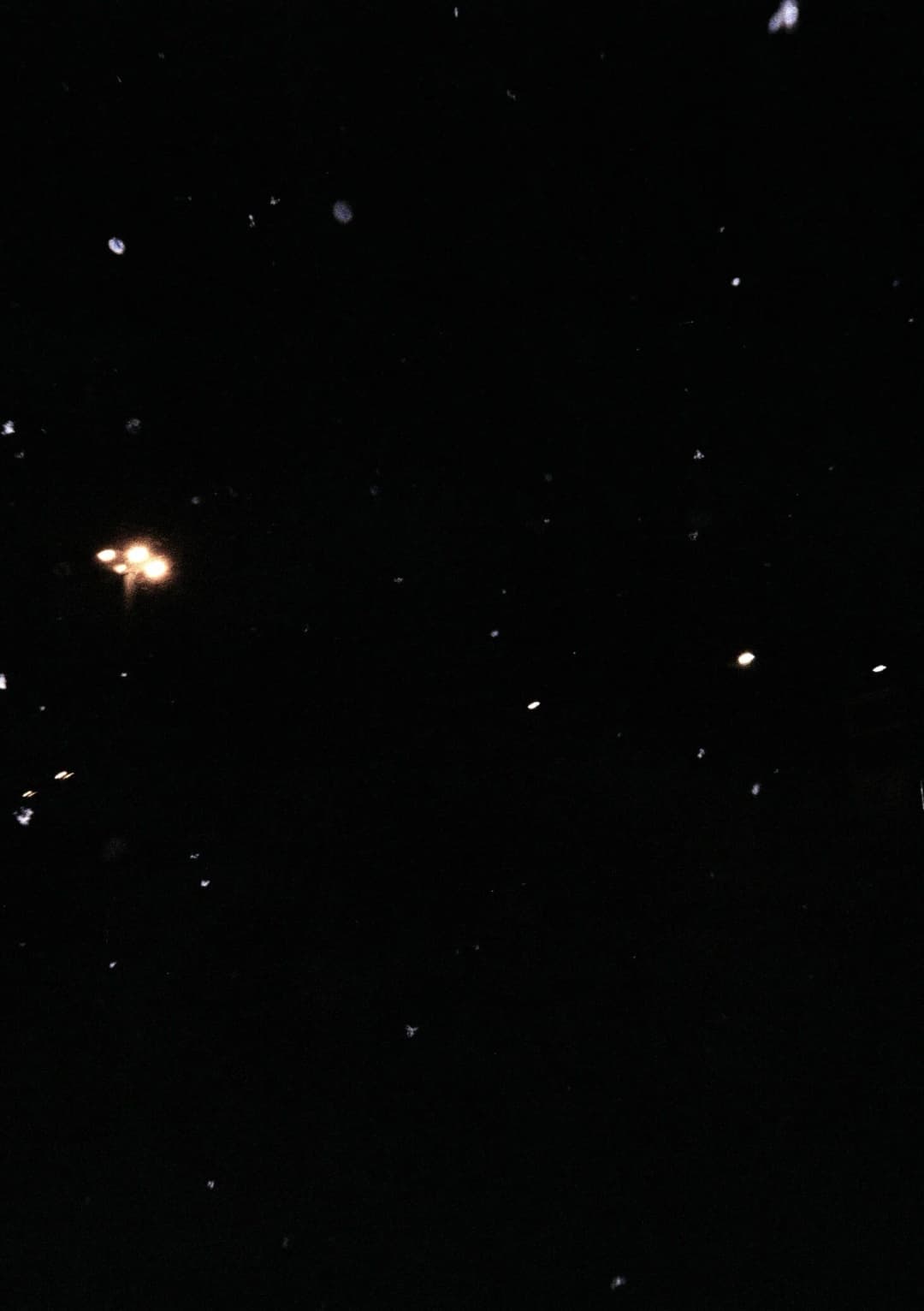 Film photograph from the 2026-01-piss-in-the-snow gallery by Maxime Bodin