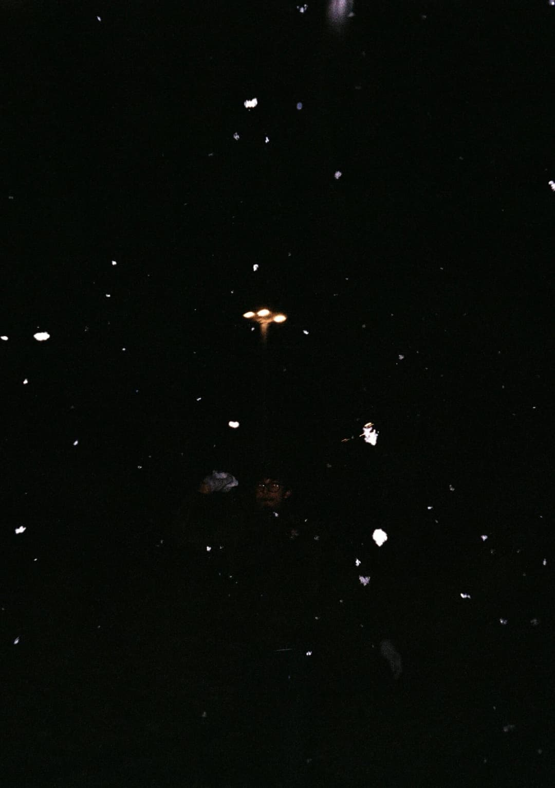 Film photograph from the 2026-01-piss-in-the-snow gallery by Maxime Bodin