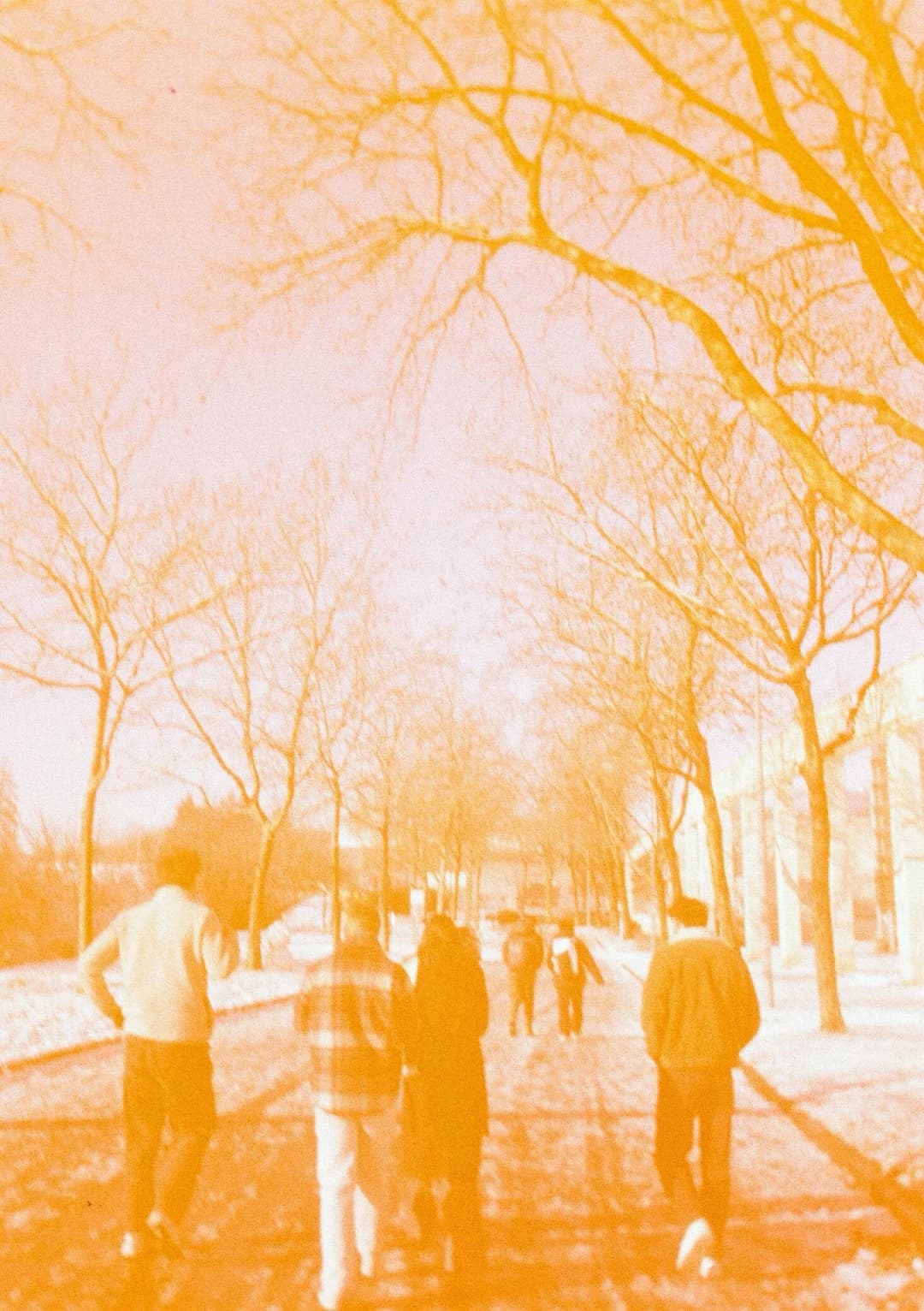 Film photograph from the 2026-01-piss-in-the-snow gallery by Maxime Bodin