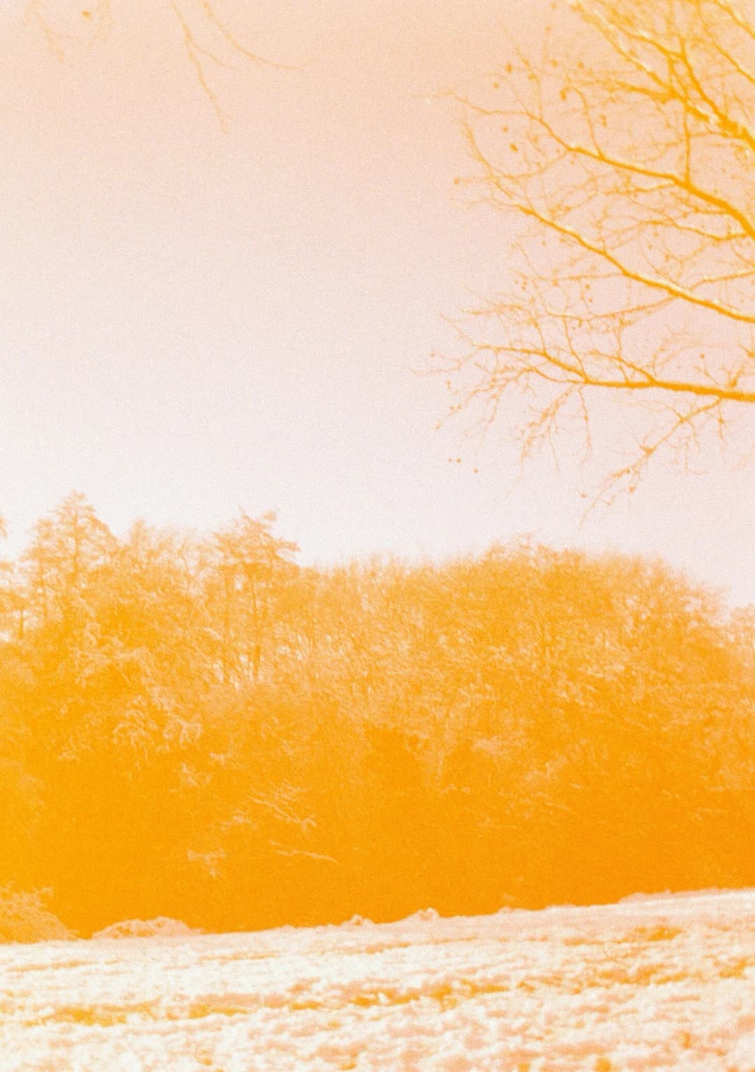 Film photograph from the 2026-01-piss-in-the-snow gallery by Maxime Bodin