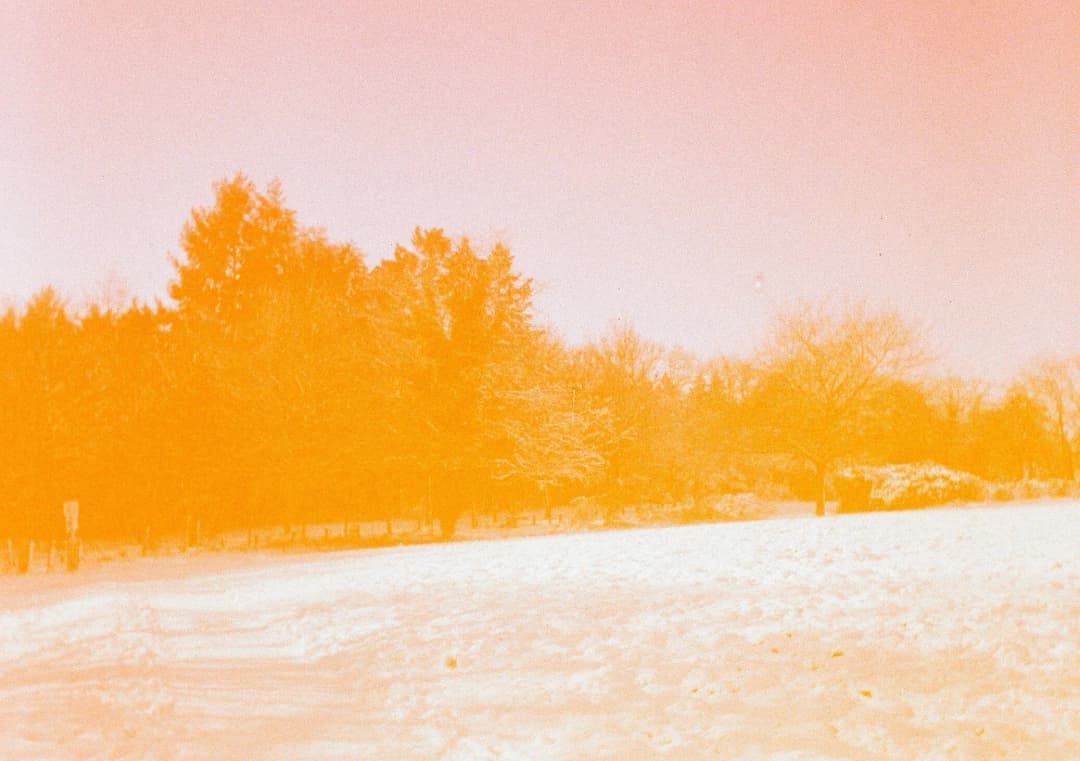 Film photograph from the 2026-01-piss-in-the-snow gallery by Maxime Bodin