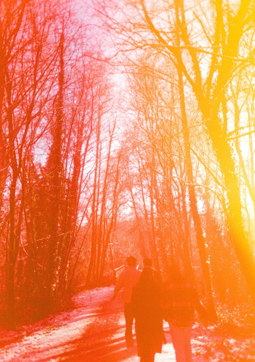 Film photograph from the 2026-01-piss-in-the-snow gallery by Maxime Bodin