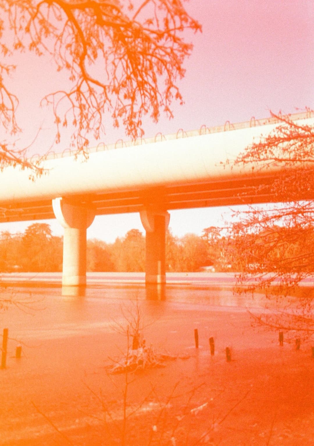 Film photograph from the 2026-01-piss-in-the-snow gallery by Maxime Bodin