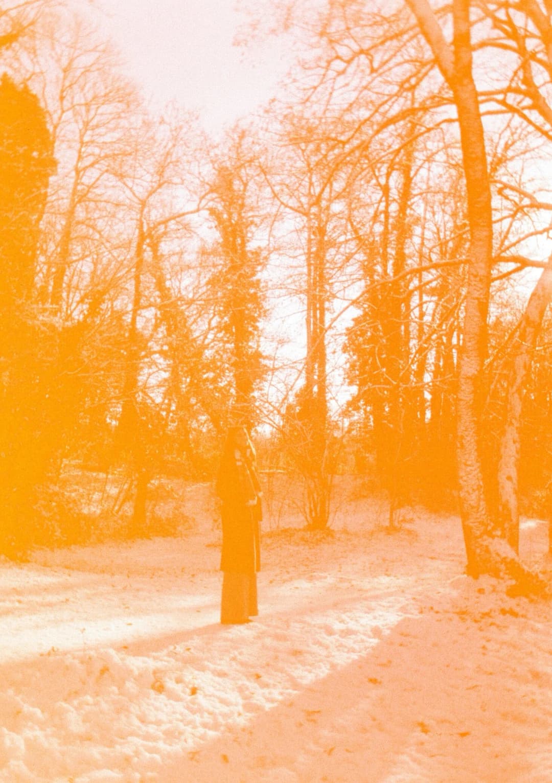 Film photograph from the 2026-01-piss-in-the-snow gallery by Maxime Bodin