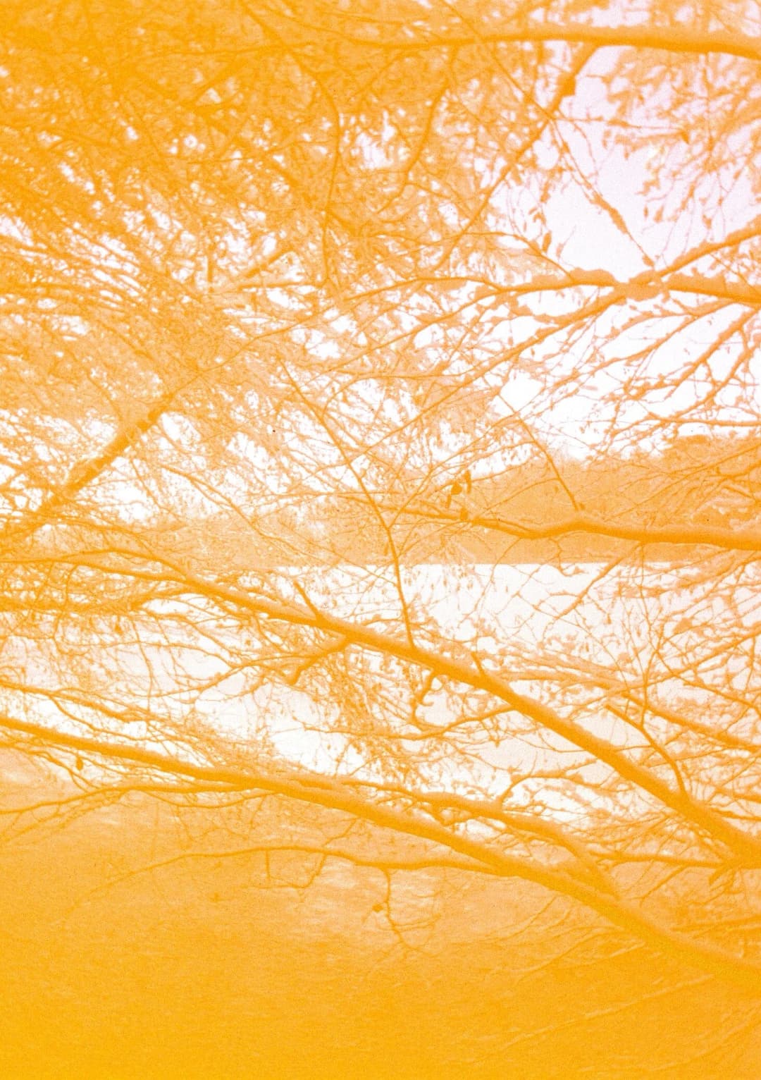 Film photograph from the 2026-01-piss-in-the-snow gallery by Maxime Bodin