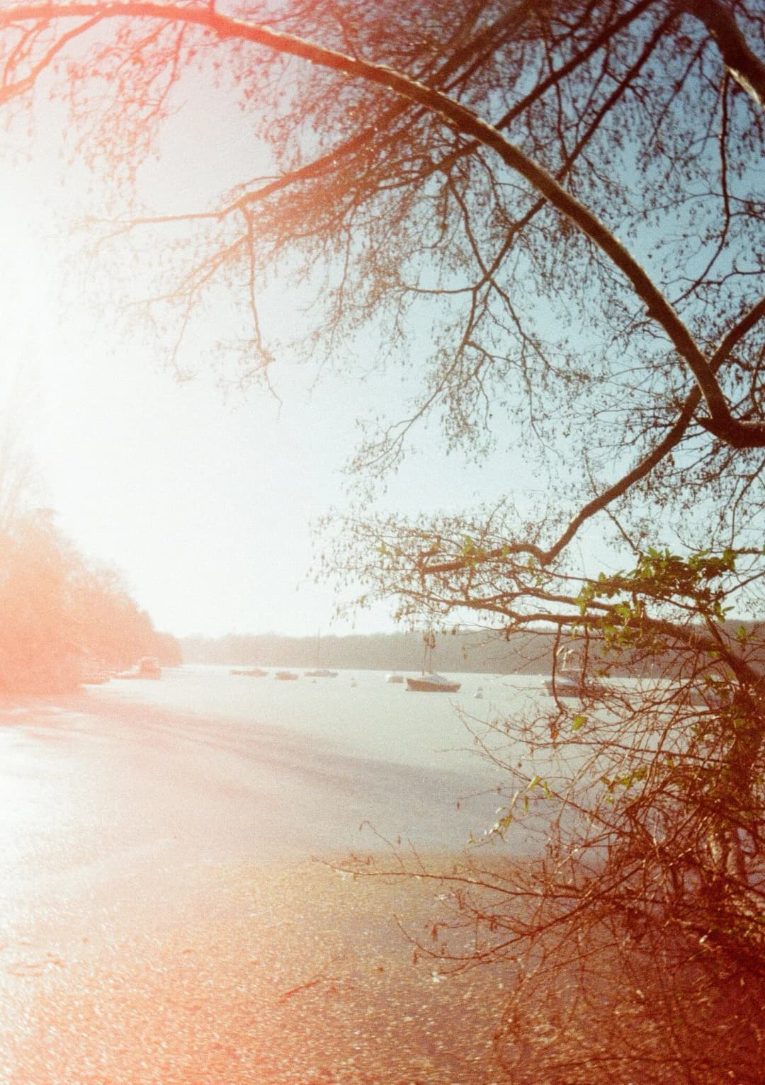 Film photograph from the 2026-01-piss-in-the-snow gallery by Maxime Bodin