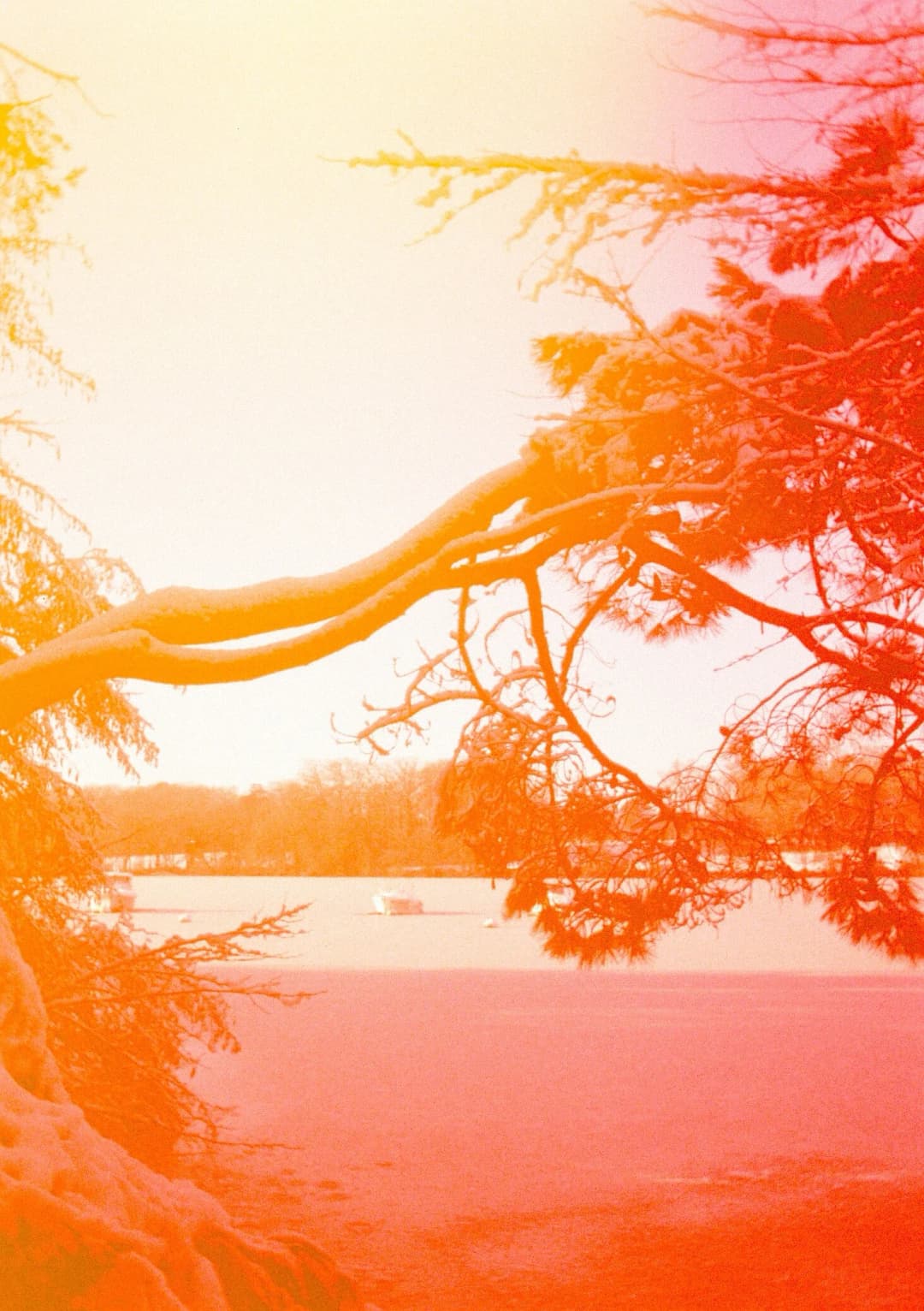 Film photograph from the 2026-01-piss-in-the-snow gallery by Maxime Bodin