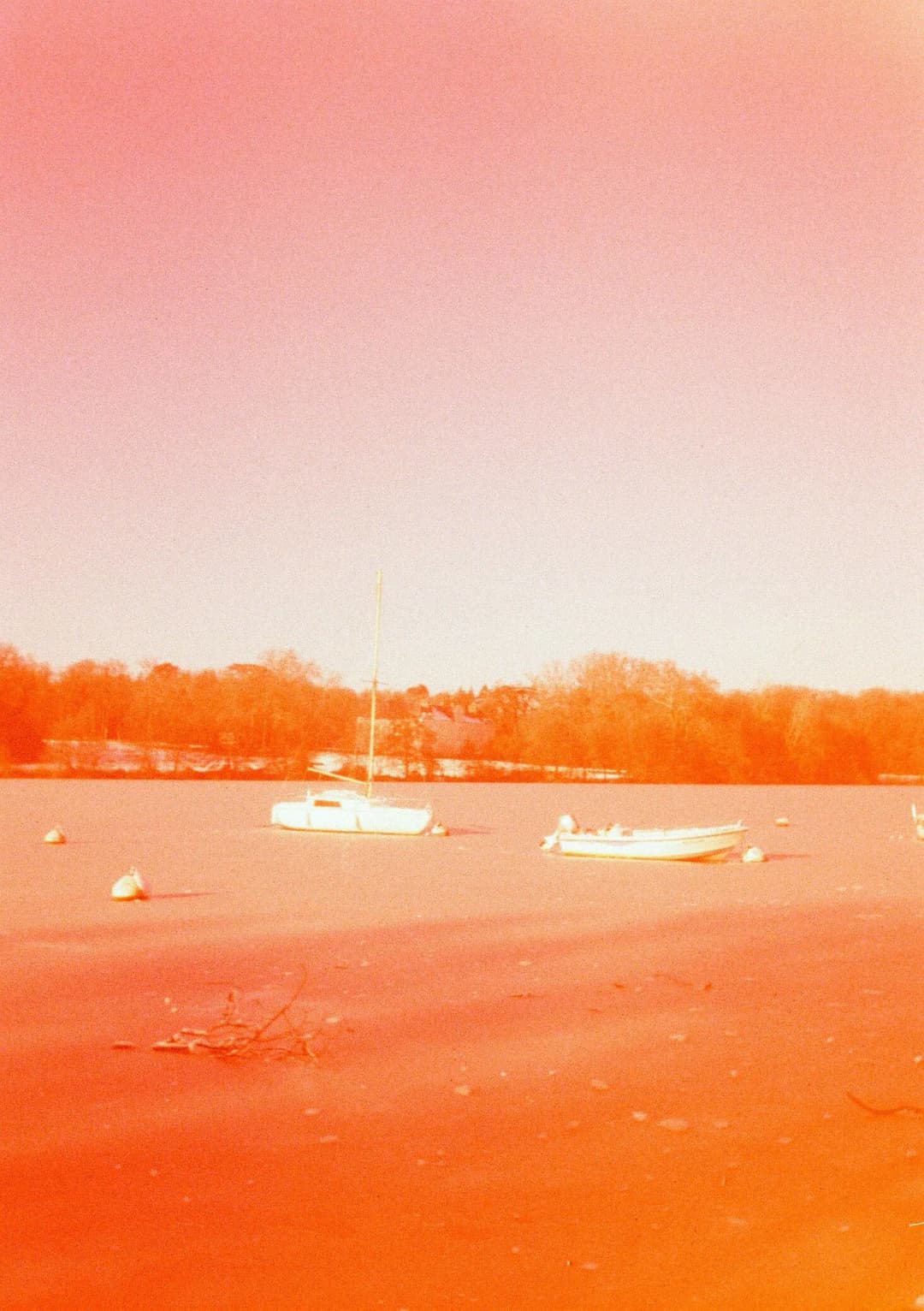 Film photograph from the 2026-01-piss-in-the-snow gallery by Maxime Bodin