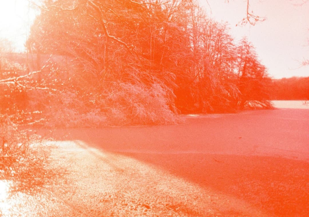 Film photograph from the 2026-01-piss-in-the-snow gallery by Maxime Bodin