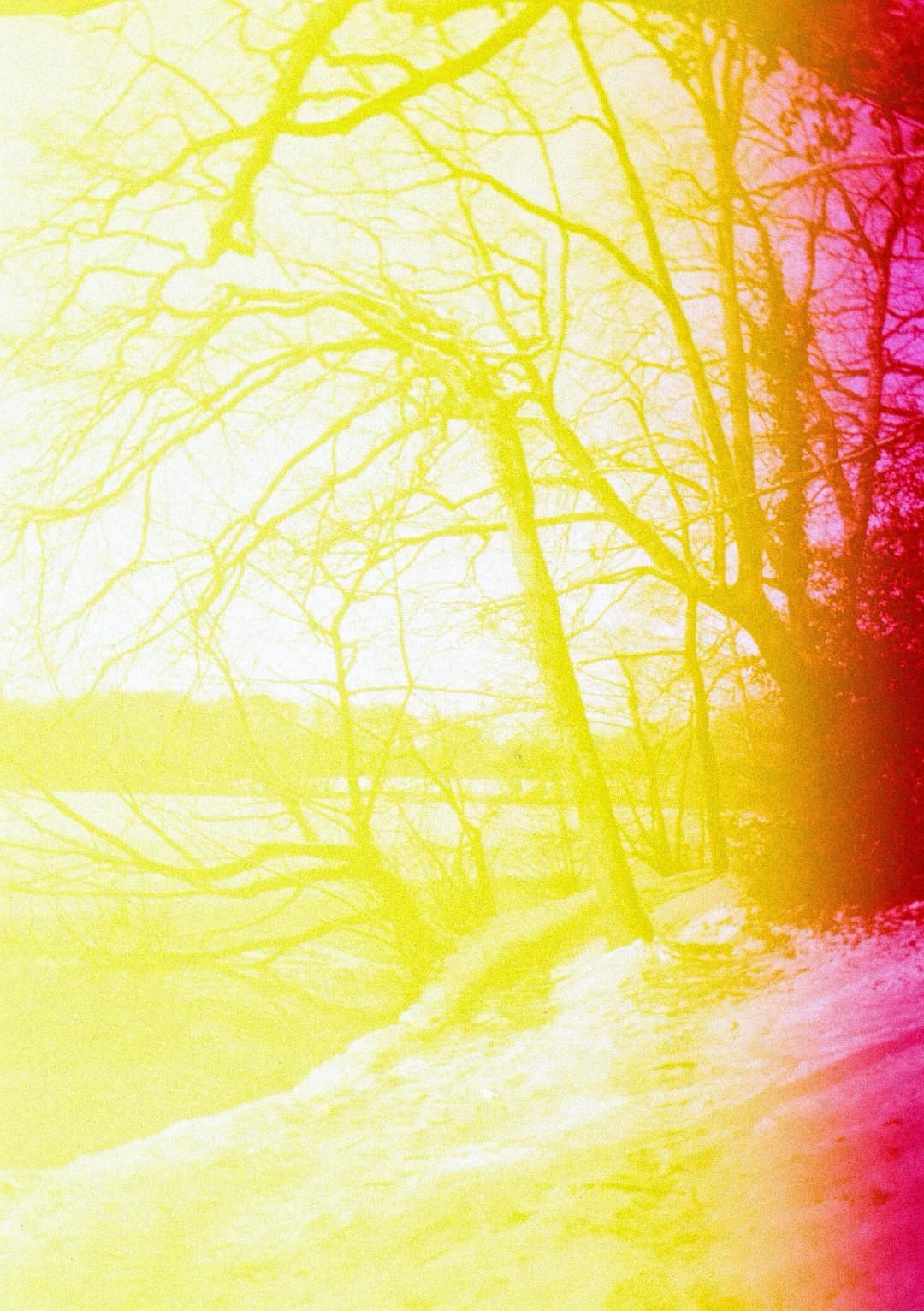 Film photograph from the 2026-01-piss-in-the-snow gallery by Maxime Bodin