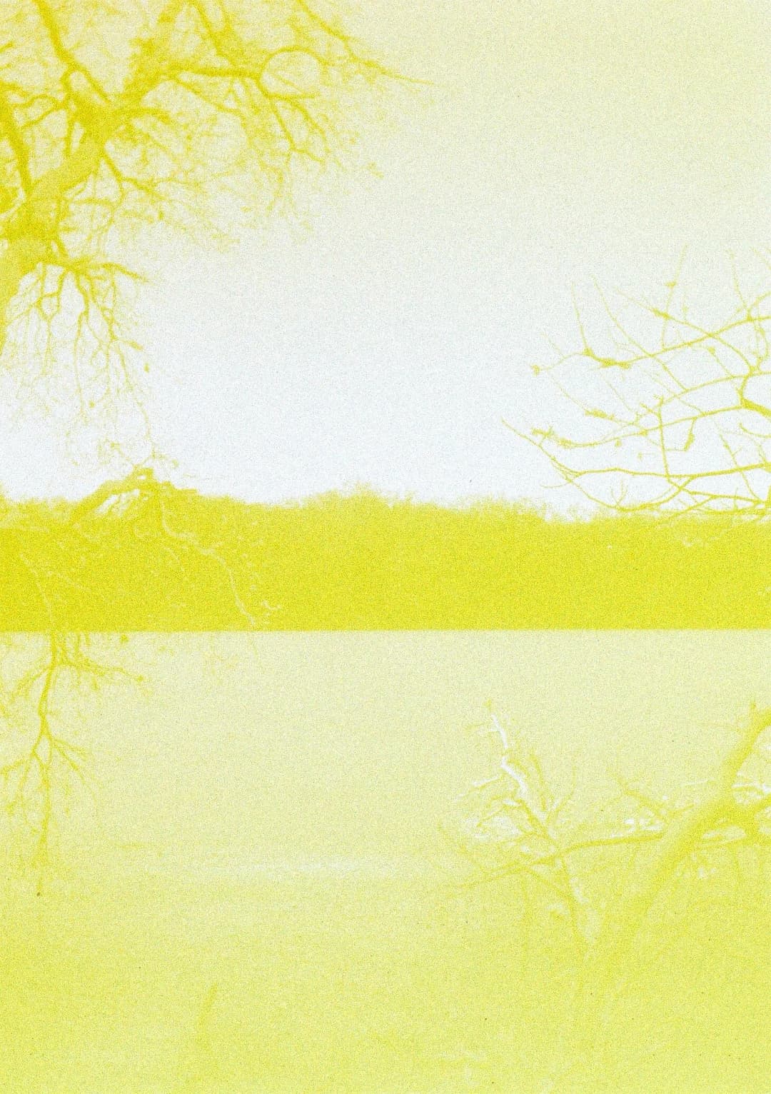 Film photograph from the 2026-01-piss-in-the-snow gallery by Maxime Bodin