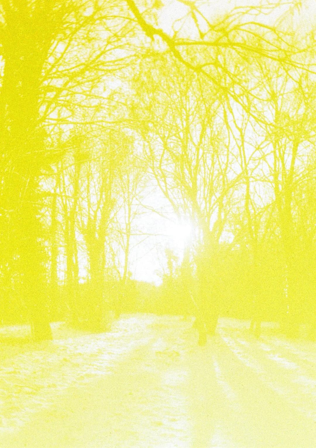 Film photograph from the 2026-01-piss-in-the-snow gallery by Maxime Bodin